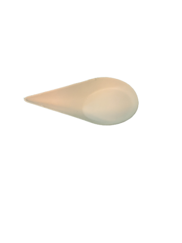 12886_5194