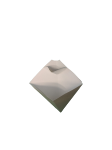 Torebka na frytki z dip 19,5x16,5 100g a50